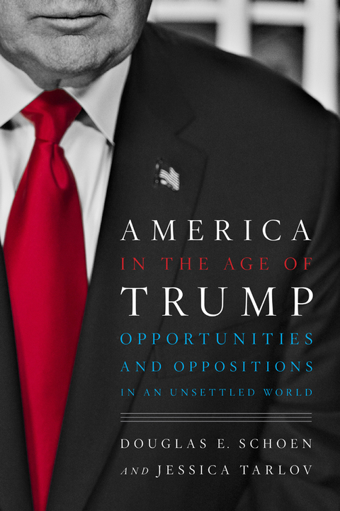 Cover image for book America in the Age of Trump