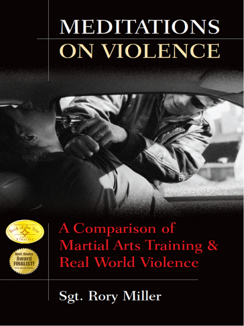Cover image for book Meditations on Violence