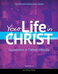 Omslagafbeelding: Your Life in Christ 3rd edition 9781594717369