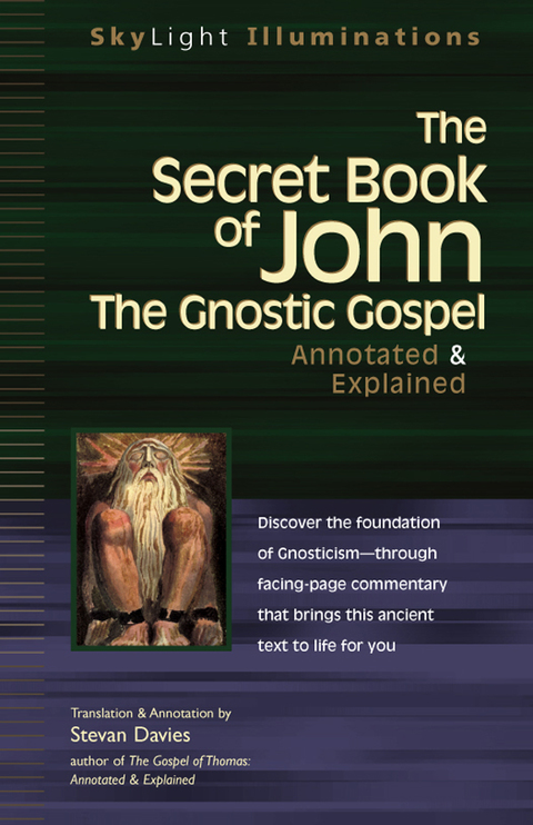 Cover image for book The Secret Book of John