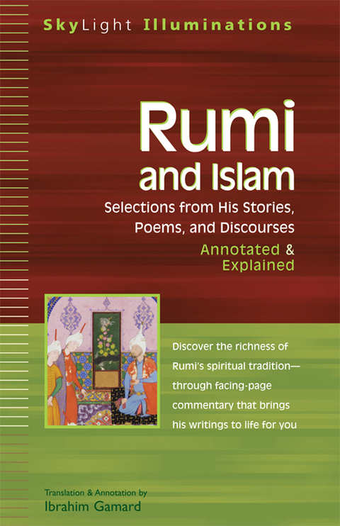 Cover image for book Rumi and Islam