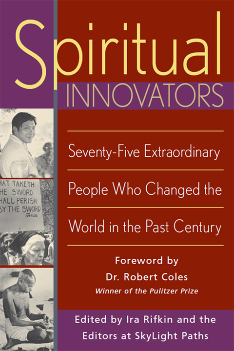 Cover image for book Spiritual Innovators