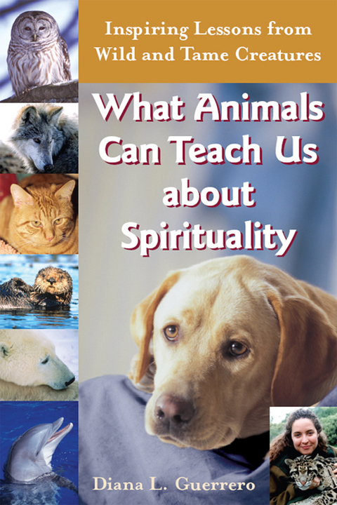Cover image for book What Animals Can Teach Us About Spirituality