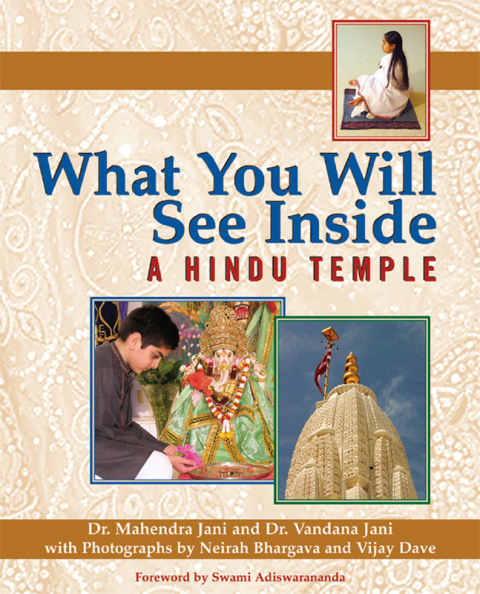 Cover image for book What You Will See Inside a Hindu Temple