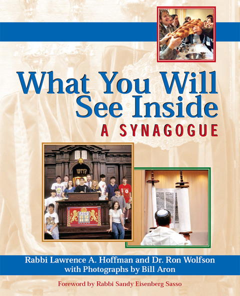 Cover image for book What You Will See Inside a Synagogue