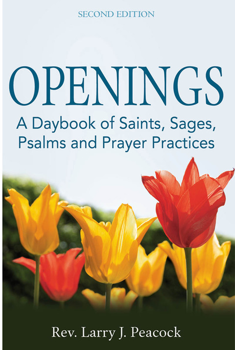 Cover image for book Openings (2nd Edition)