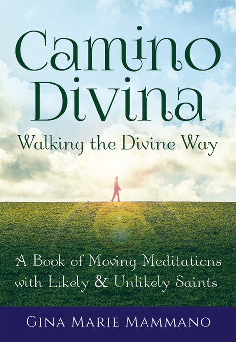 Cover image for book Camino Divina—Walking the Divine Way