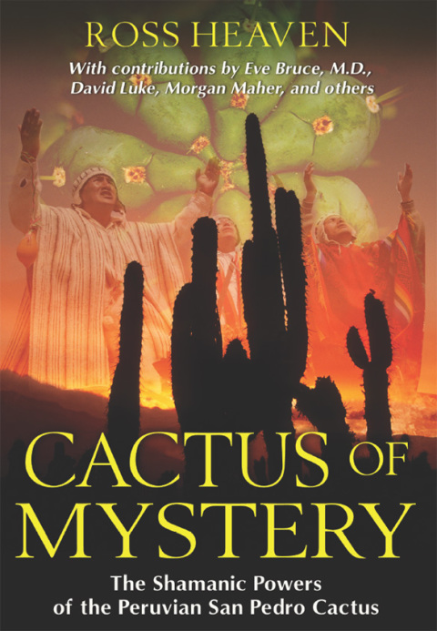 Cover image for book Cactus of Mystery