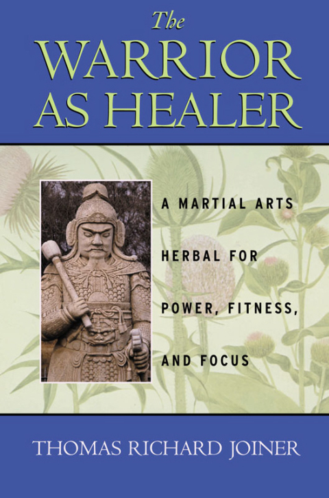 Cover image for book The Warrior As Healer