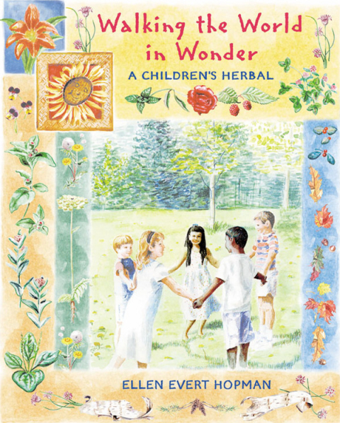 Cover image for book Walking the World in Wonder