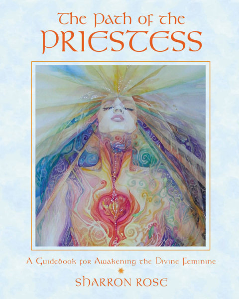 Cover image for book The Path of the Priestess