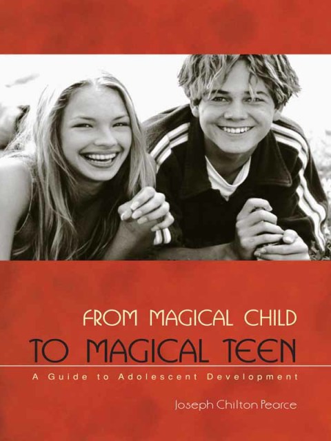 Cover image for book From Magical Child to Magical Teen