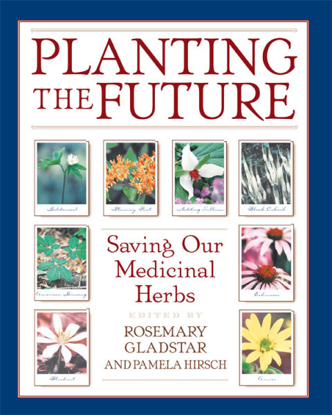 Cover image for book Planting the Future