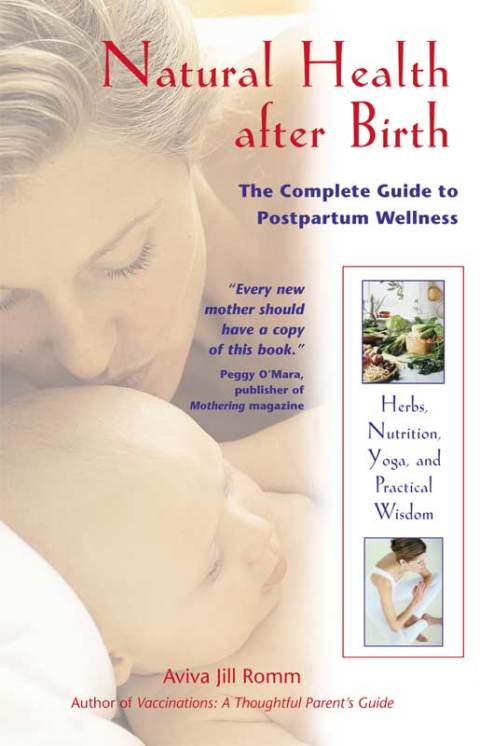 Cover image for book Natural Health after Birth