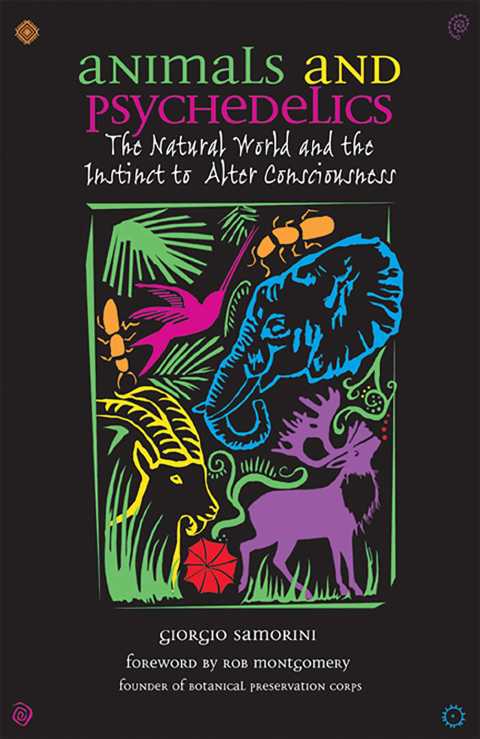 Cover image for book Animals and Psychedelics