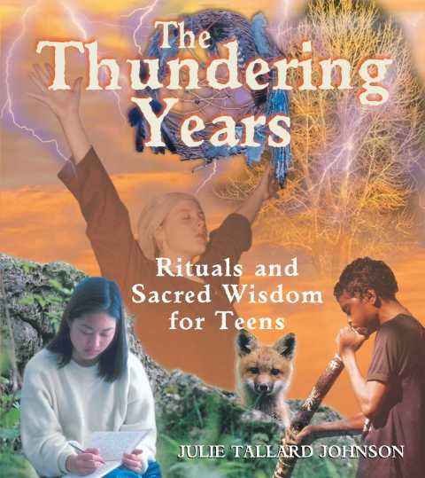 Cover image for book The Thundering Years
