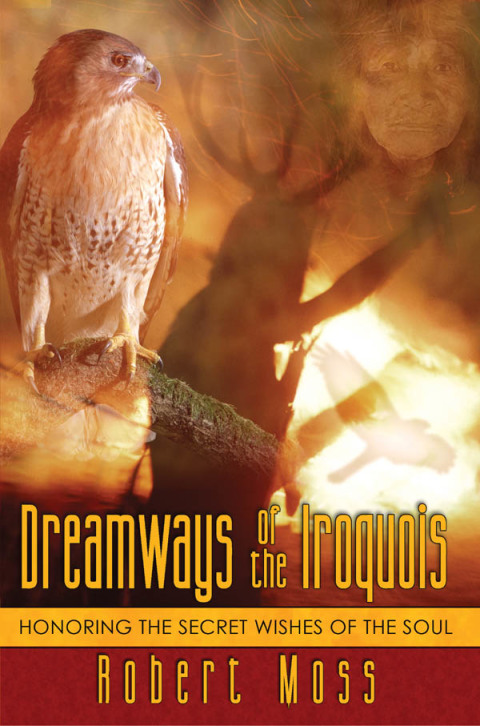 Cover image for book Dreamways of the Iroquois