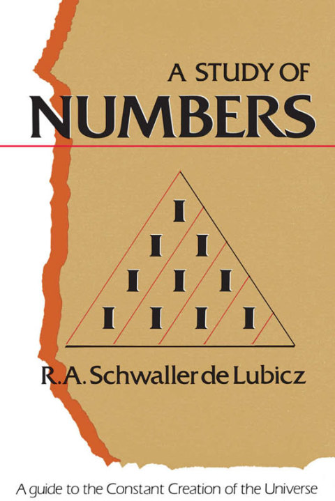 Cover image for book A Study of Numbers