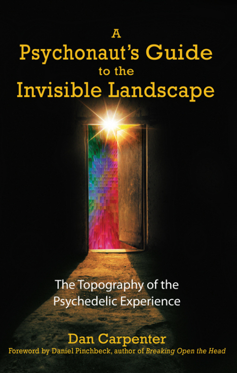 Cover image for book A Psychonaut's Guide to the Invisible Landscape