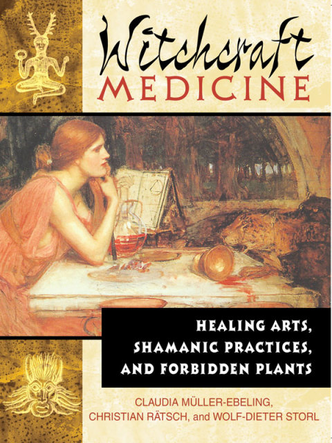 Cover image for book Witchcraft Medicine