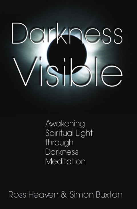 Cover image for book Darkness Visible