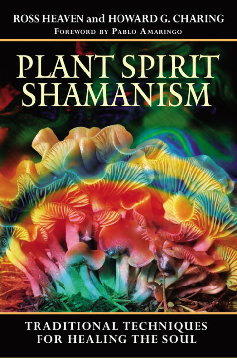 Cover image for book Plant Spirit Shamanism