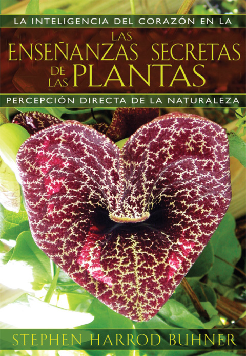 Cover image for book Las enseñanzas secretas de las plantas