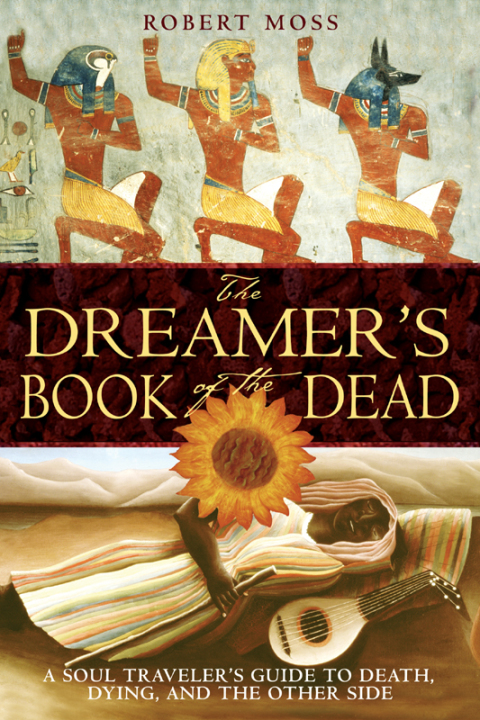 Cover image for book The Dreamer's Book of the Dead