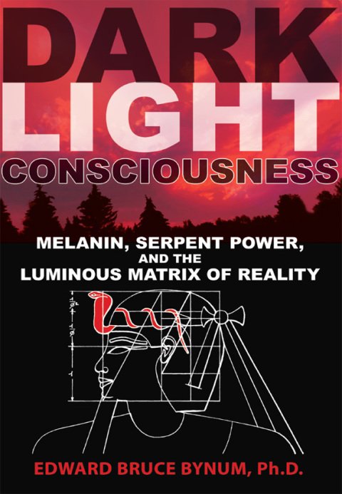 Cover image for book Dark Light Consciousness