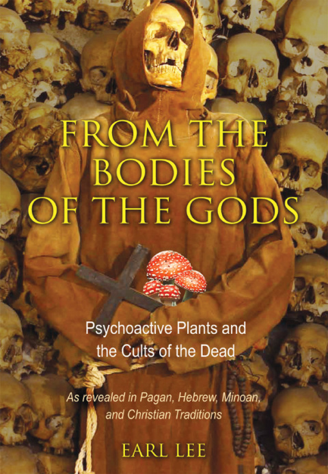 Cover image for book From the Bodies of the Gods