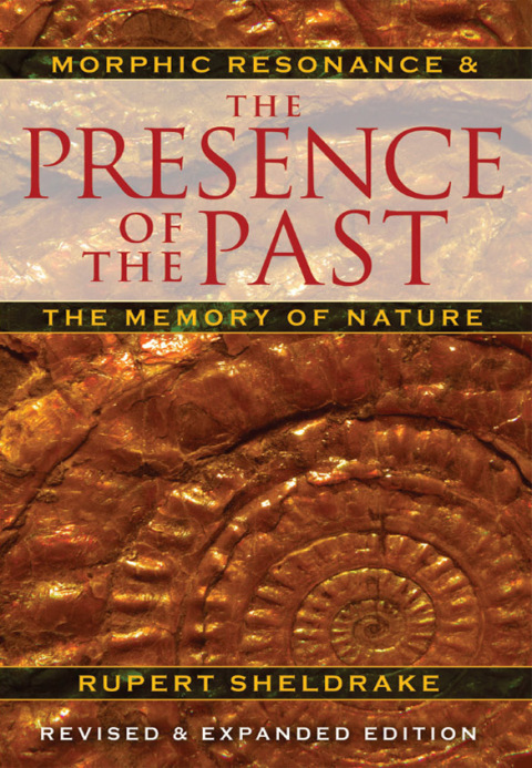 Cover image for book The Presence of the Past