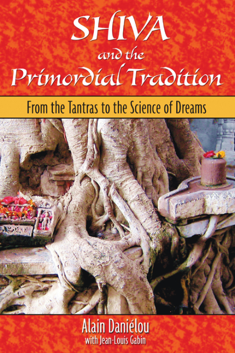 Cover image for book Shiva and the Primordial Tradition