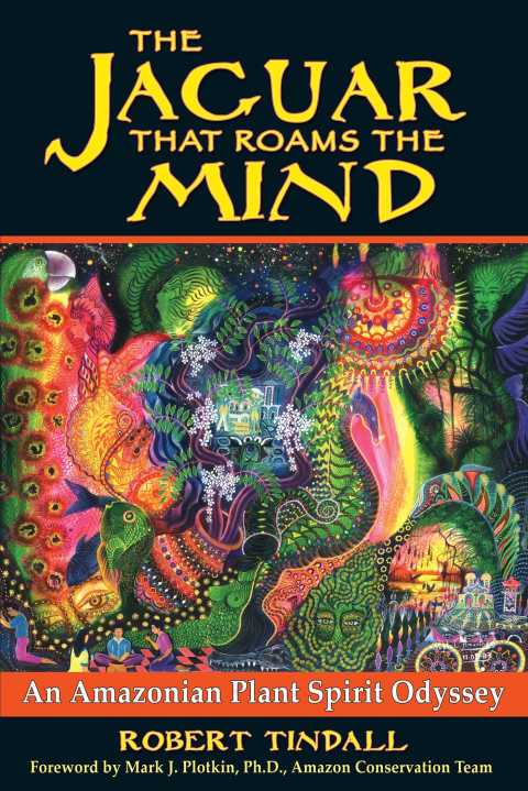 Cover image for book The Jaguar that Roams the Mind