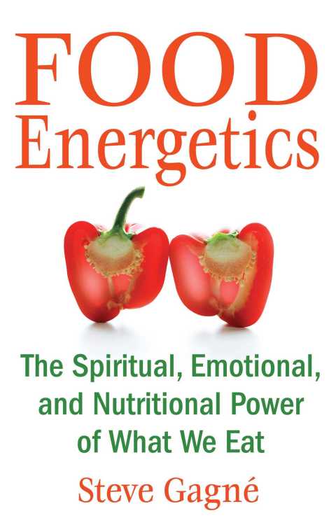 Cover image for book Food Energetics