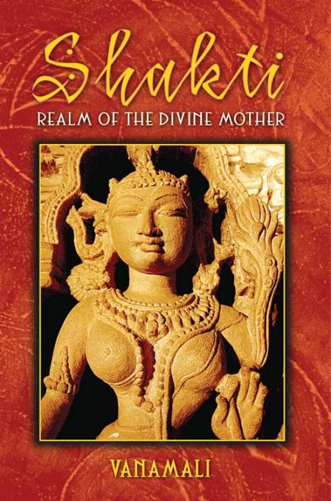 Cover image for book Shakti