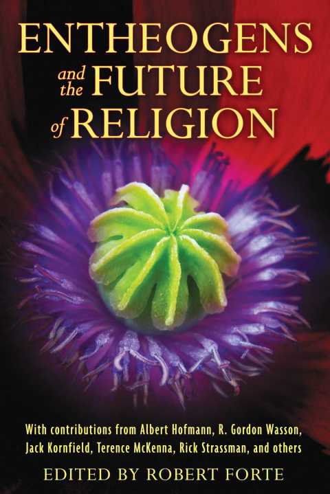 Cover image for book Entheogens and the Future of Religion