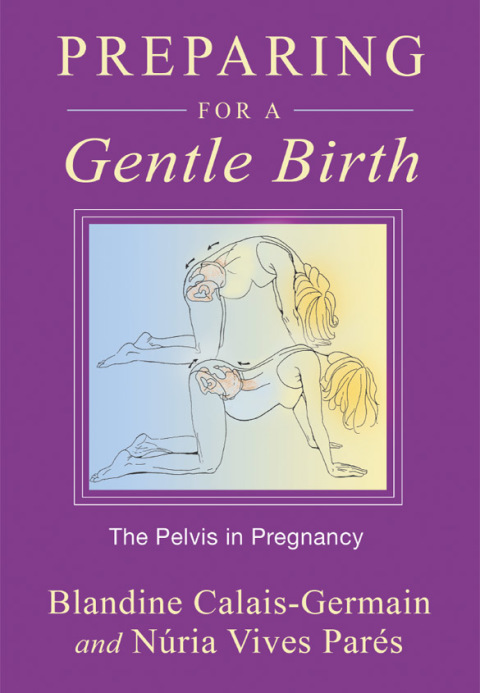 Cover image for book Preparing for a Gentle Birth