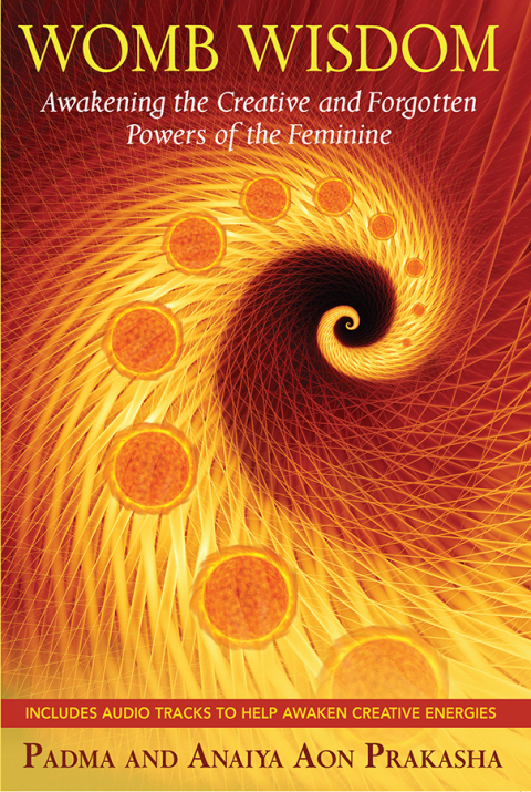 Cover image for book Womb Wisdom