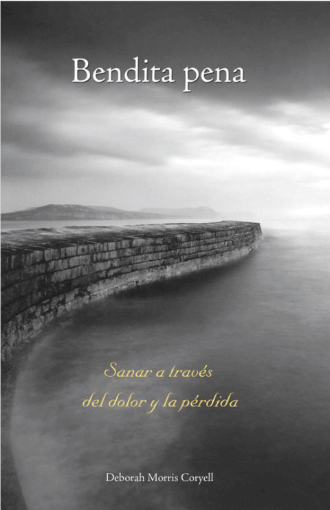 Cover image for book Bendita pena