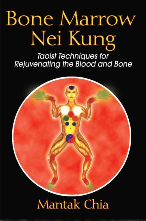 Cover image for book Bone Marrow Nei Kung