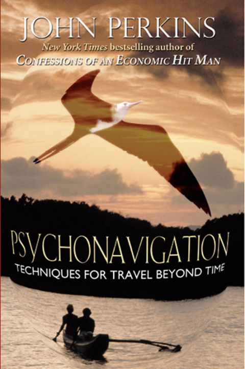 Cover image for book Psychonavigation