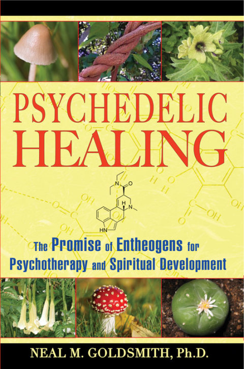 Cover image for book Psychedelic Healing