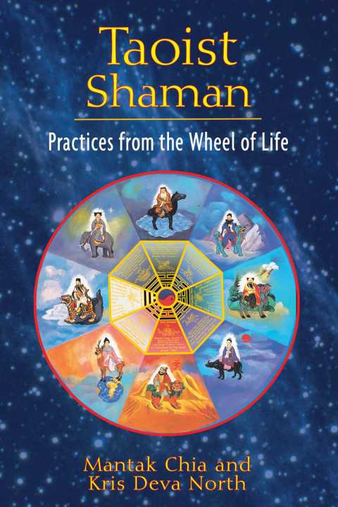Cover image for book Taoist Shaman