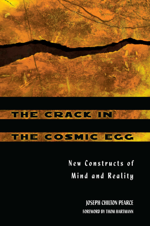 Cover image for book The Crack in the Cosmic Egg
