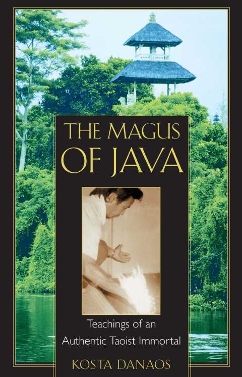 Cover image for book The Magus of Java