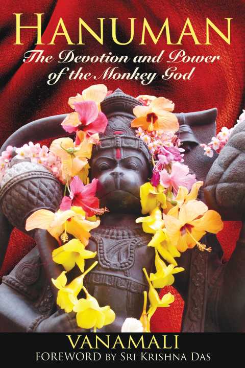 Cover image for book Hanuman