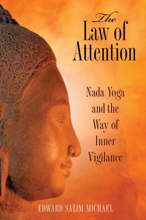 Cover image for book The Law of Attention