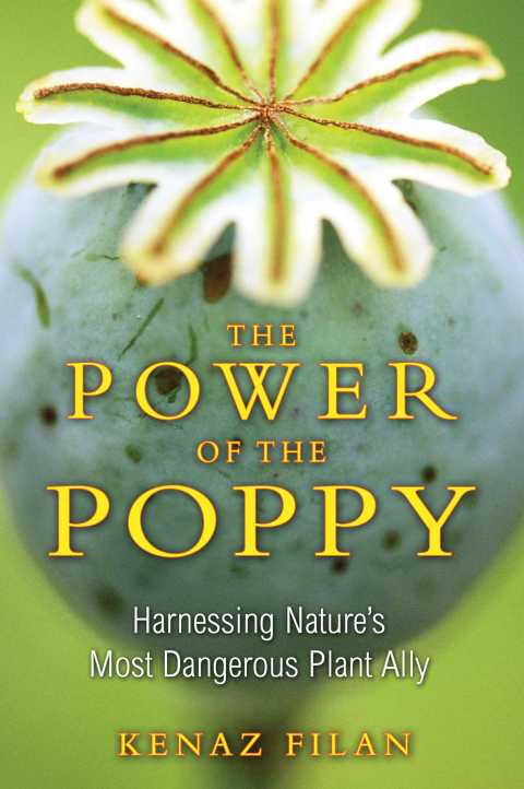 Cover image for book The Power of the Poppy