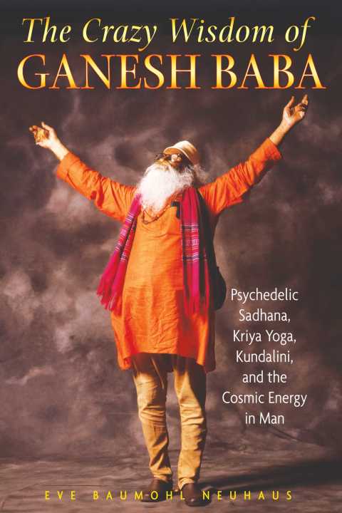 Cover image for book The Crazy Wisdom of Ganesh Baba