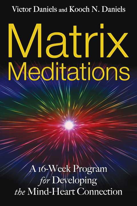 Cover image for book Matrix Meditations